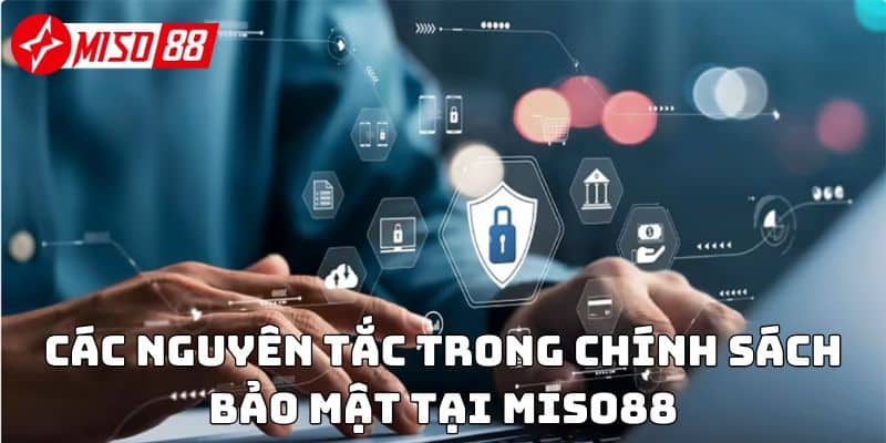 Các nguyên tắc trong chính sách bảo mật tại Miso88