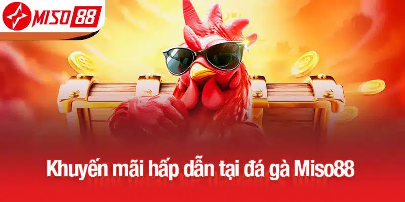 Khuyến mãi hấp dẫn tại đá gà Miso88