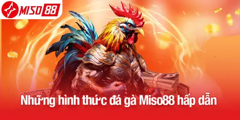 Những hình thức đá gà Miso88 hấp dẫn