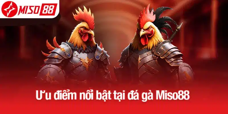 Ưu điểm nổi bật tại đá gà Miso88