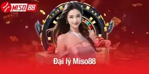 Đại lý Miso88