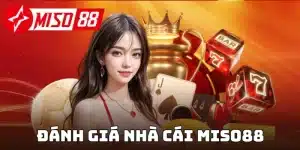 Đánh giá Miso88