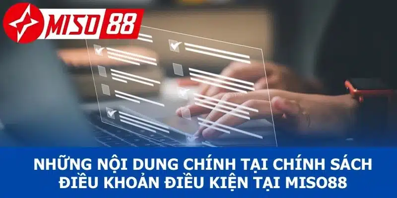 Những nội dung chính tại chính sách điều khoản và điều kiện