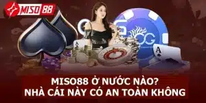 Miso88 của nước nào?