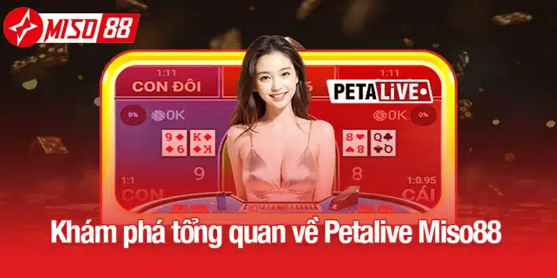 Khám phá tổng quan về Petalive Miso88