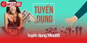 Tuyển dụng Miso88